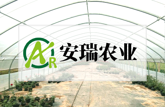 關于我們